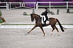 OLY-2020-DRESSAGE-GP DAY1-7-24-21-5460-118-CATHRINE DUFOUR-BOHEMIAN-DEN-DDEROSAPHOTO