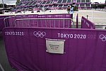 OLY-2020-DRESSAGE-GP SPECIAL-7-27-21-3559-DDEROSAPHOTO