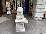 IMG 0392