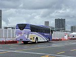 IMG 0649