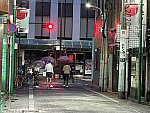 IMG 0665