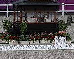 DSC 0855