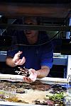 PCLI-11-7-09-128-Culinary-Aquarium-DDeRosaPhoto.jpg