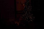 PCLI-HolidayParty-12-2-16-9969-DDeRosaPhoto