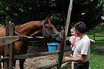 PCLI-8-22-09-Barbecue-025-DDeRosaPhoto.jpg