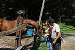 PCLI-8-22-09-Barbecue-030-DDeRosaPhoto.jpg
