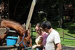 PCLI-8-22-09-Barbecue-031-DDeRosaPhoto.jpg