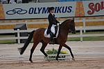 499-KatherinePoulin-Neff-BrilliantToo-USA-PanAmRio-7-16-07-DeRosaPhoto.jpg