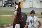 066-PanAmRio-7-23-07-DeRosaPhoto.jpg