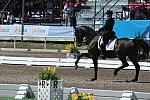 PanAmGames-MX-10-17-11-8379-CesarParra-Grandioso-USA-DDeRosaPhoto.JPG