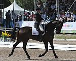 PanAmGames-MX-10-17-11-8391-CesarParra-Grandioso-USA-DDeRosaPhoto.JPG