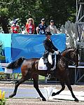 PanAmGames-MX-10-17-11-8404-CesarParra-Grandioso-USA-DDeRosaPhoto.JPG