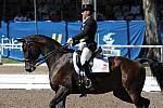 PanAmGames-MX-10-17-11-8472-CesarParra-Grandioso-USA-DDeRosaPhoto.JPG