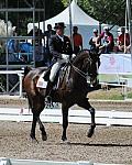 PanAmGames-MX-10-17-11-8476-CesarParra-Grandioso-USA-DDeRosaPhoto.JPG