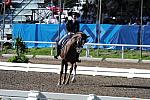 PanAmGames-MX-10-16-11-6128-IvonneLososDeMuniz-DondoloMarismas-DOM-DDeRosaPhoto.JPG