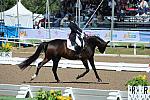 PanAmGames-MX-10-17-11-7535-SamiraUemura-RoyalAffair-DOM-DDeRosaPhoto.JPG