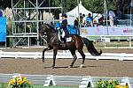 PanAmGames-MX-10-17-11-7576-SamiraUemura-RoyalAffair-DOM-DDeRosaPhoto.JPG