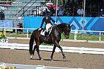 PanAmGames-MX-10-17-11-7590-SamiraUemura-RoyalAffair-DOM-DDeRosaPhoto.JPG