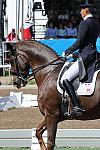 PanAmGames1-MX-10-19-11-DSC_9659-DRE-IND-IvonneLososDeMuniz-DondoloMarismas-DOM-DDeRosaPhoto.JPG