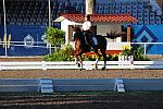 PanAmGames-MX-10-15-11-5037-DDeRosaPhoto.JPG