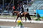 PanAmGames-MX-10-16-11-4949-HeatherBlitz-Paragon-DDeRosaPhoto.JPG