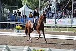 PanAmGames-MX-10-17-11-9169-HeatherBltiz-Paragon-USA-DDeRosaPhoto.JPG