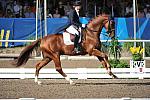 PanAmGames-MX-10-19-11-7330-DRE-IND-HeatherBlitz-Paragon-USA-DDeRosaPhoto.JPG