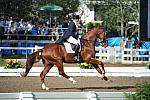 PanAmGames-MX-10-19-11-7334-DRE-IND-HeatherBlitz-Paragon-USA-DDeRosaPhoto.JPG