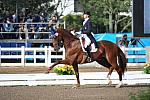 PanAmGames-MX-10-19-11-7336-DRE-IND-HeatherBlitz-Paragon-USA-DDeRosaPhoto.JPG