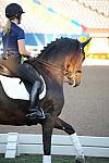 PanAmGames-MX-10-15-11-5133-MarisaFesterling-BigTyme-DDeRosaPhoto.JPG