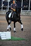 PanAmGames-MX-10-15-11-5187-SteffenPeters-WeltonsMagic-DDeRosaPhoto.JPG