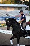 PanAmGames-MX-10-15-11-5208-SteffenPeters-WeltonsMagic-DDeRosaPhoto.JPG