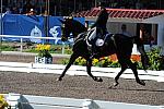 PanAmGames-MX-10-16-11-5893-SteffenPeters-WeltonsMagic-DDeRosaPhoto.JPG