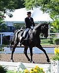 PanAmGames-MX-10-16-11-5962-SteffenPeters-WeltonsMagic-DDeRosaPhoto.JPG