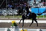 PanAmGames-MX-10-16-11-6008-SteffenPeters-WeltonsMagic-DDeRosaPhoto.JPG