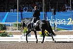 PanAmGames-MX-10-16-11-6059-SteffenPeters-WeltonsMagic-DDeRosaPhoto.JPG