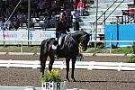 PanAmGames-MX-10-17-11-8755-SteffenPeters-WeltinosMagic-USA-DDeRosaPhoto.JPG