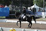 PanAmGames-MX-10-17-11-8781-SteffenPeters-WeltinosMagic-USA-DDeRosaPhoto.JPG