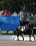 PanAmGames-MX-10-17-11-8810-SteffenPeters-WeltinosMagic-USA-DDeRosaPhoto.JPG