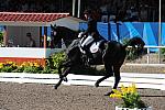 PanAmGames-MX-10-17-11-8852-SteffenPeters-WeltinosMagic-USA-DDeRosaPhoto.JPG