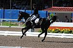 PanAmGames-MX-10-17-11-8853-SteffenPeters-WeltinosMagic-USA-DDeRosaPhoto.JPG