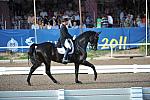 PanAmGames-MX-10-19-11-7619-DRE-IND-SteffenPeters-WeltinosMagic-USA-DDeRosaPhoto.JPG
