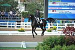 PanAmGames-MX-10-19-11-7655-DRE-IND-SteffenPeters-WeltinosMagic-USA-DDeRosaPhoto.JPG
