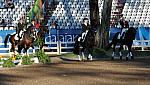 PanAmGames-MX-10-16-11-6822-DDeRosaPhoto.JPG
