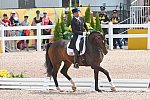 PAG-DressageIndividual-7-14-15-3741-SteffenPeters-Legolas92-USA-DDeRosaPhoto