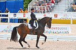 PAG-DressageIndividual-7-14-15-3800-SteffenPeters-Legolas92-USA-DDeRosaPhoto