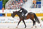 PAG-DressageIndividual-7-14-15-3847-SteffenPeters-Legolas92-USA-DDeRosaPhoto