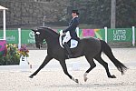 DRESSAGE