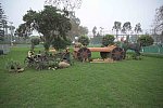 PanAm-Peru-EV-8-1-19-2709-DDeRosaPhoto