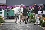 PanAm-Peru-EV-8-1-19-0879-IgnacioZone-RemontaSanJorge-ARG-DDeRosaPhoto